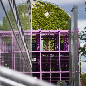 The University Library roof garden.